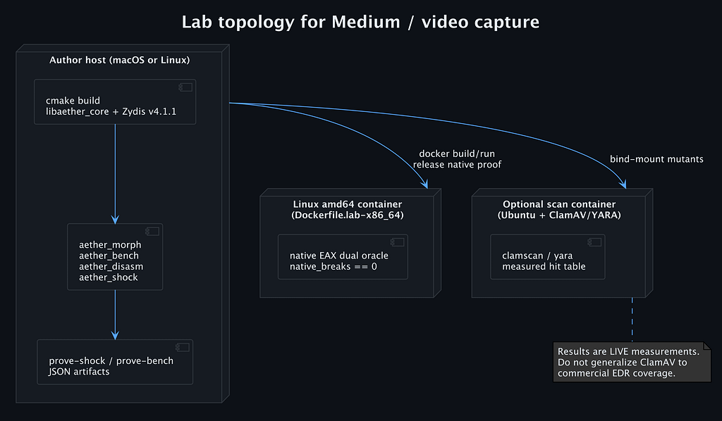 Lab topology: author host building Aether with Zydis v4.1.1, a Linux amd64 container for native proof, and an optional scan container with ClamAV and YARA